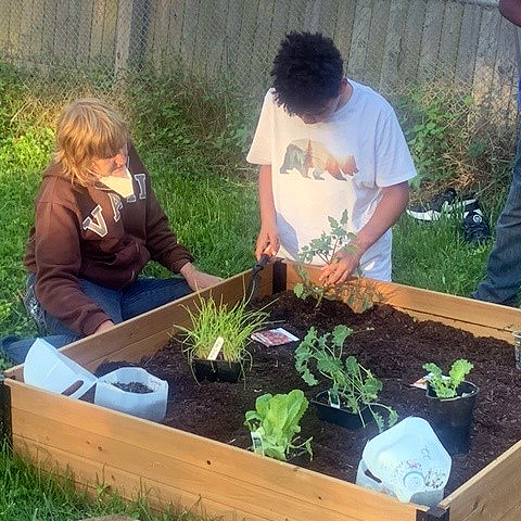 gardening in summer programming